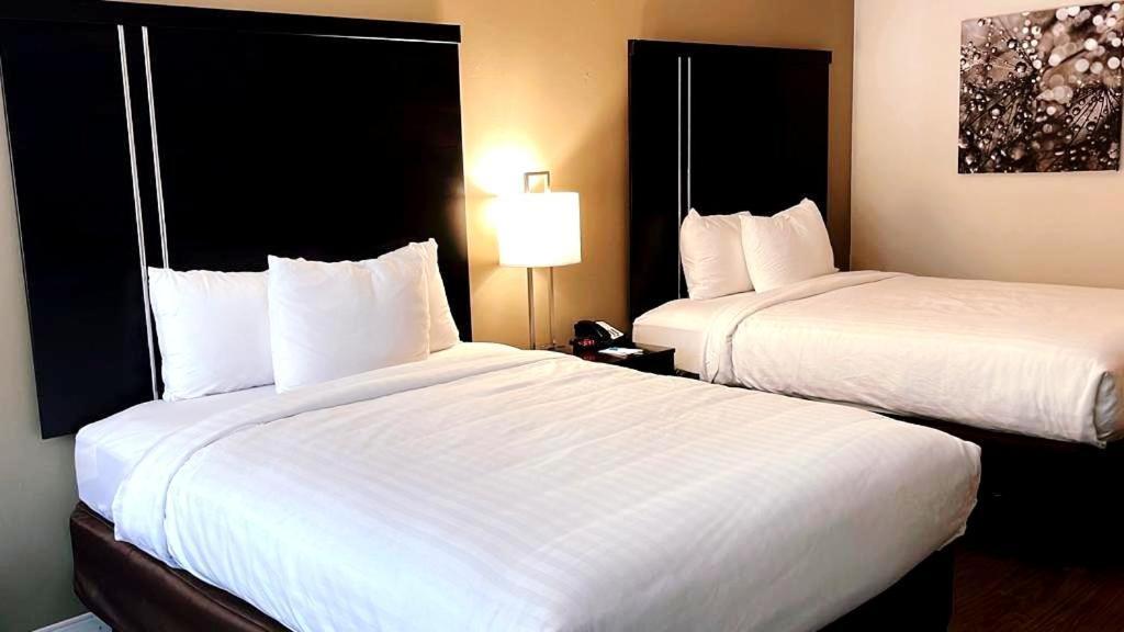 Clarion Inn & Suites フローレンス エクステリア 写真