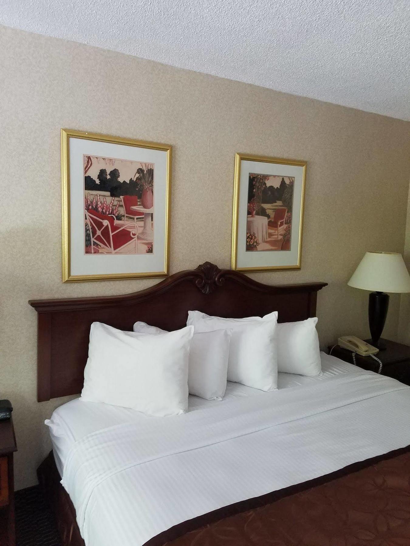 Clarion Inn & Suites フローレンス エクステリア 写真