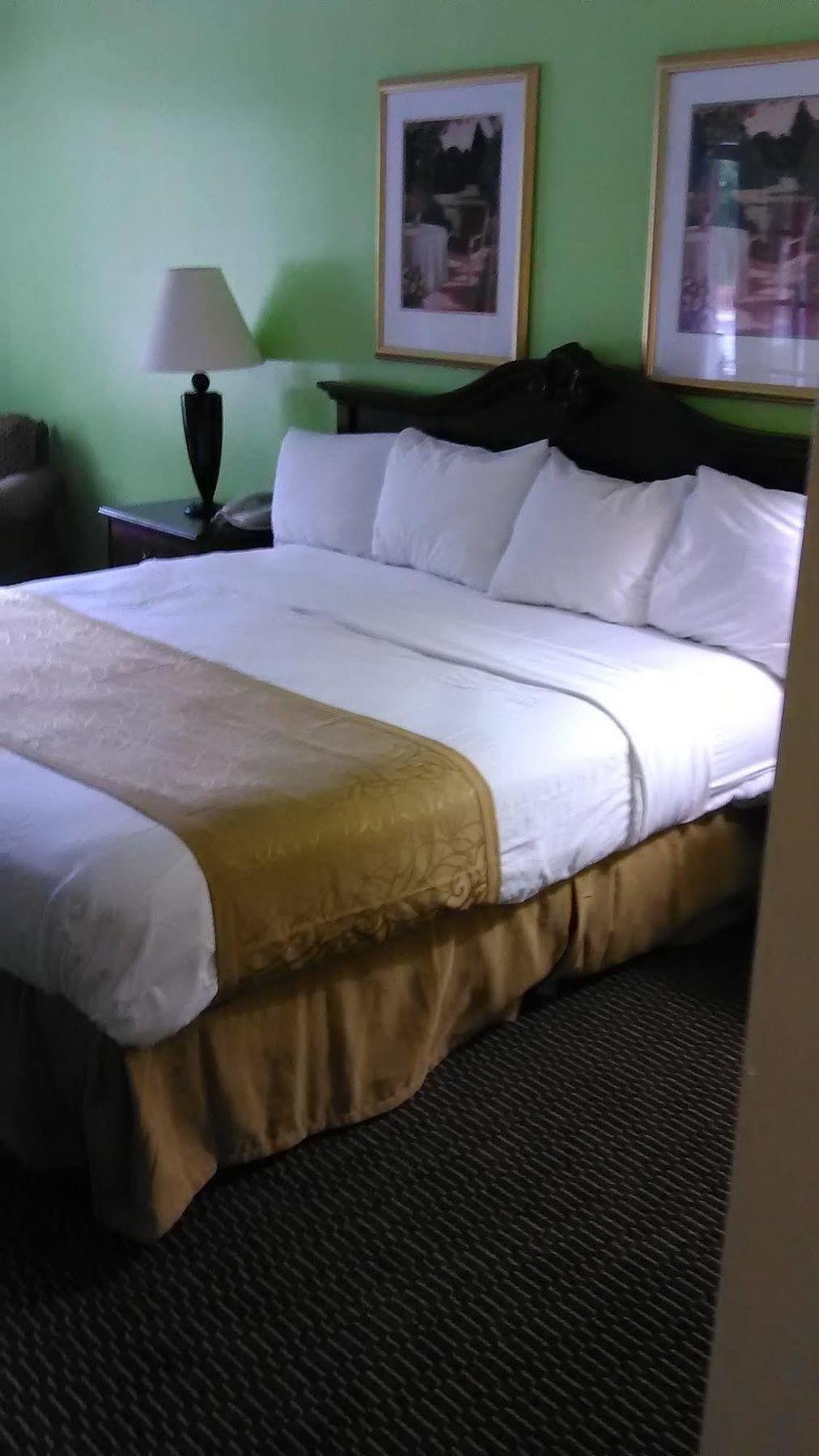 Clarion Inn & Suites フローレンス エクステリア 写真
