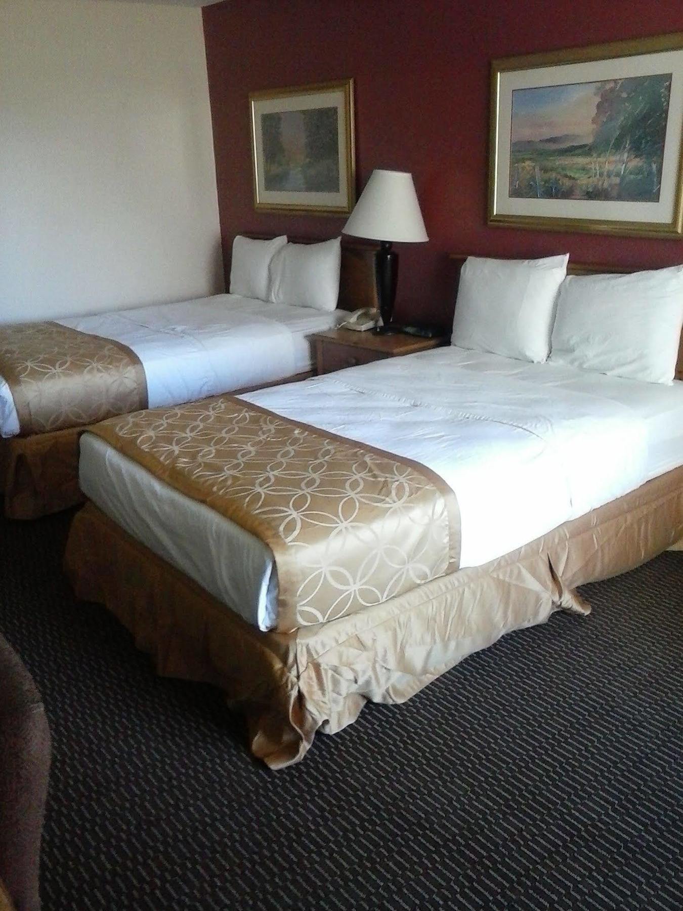 Clarion Inn & Suites フローレンス エクステリア 写真